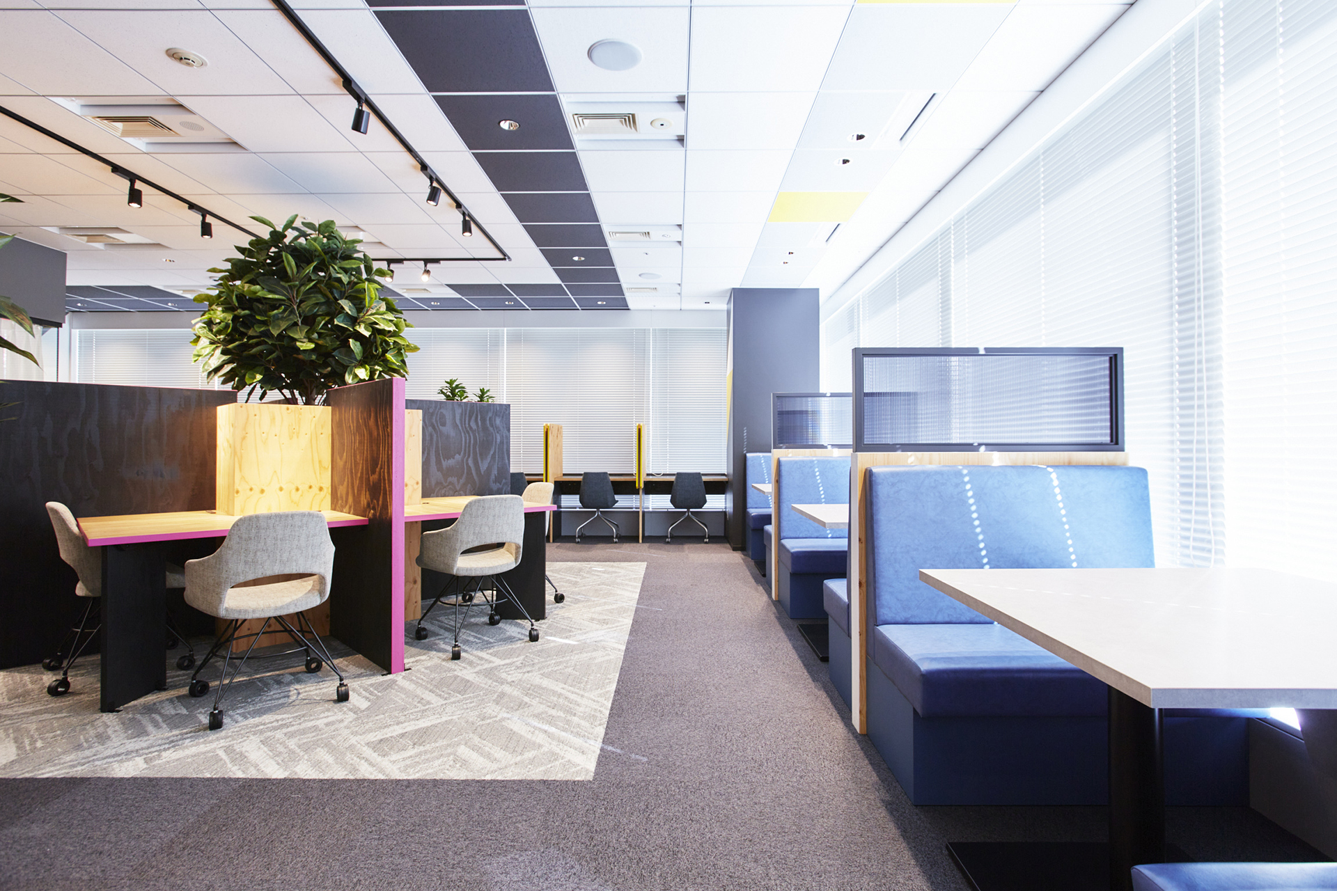 オープンスペース