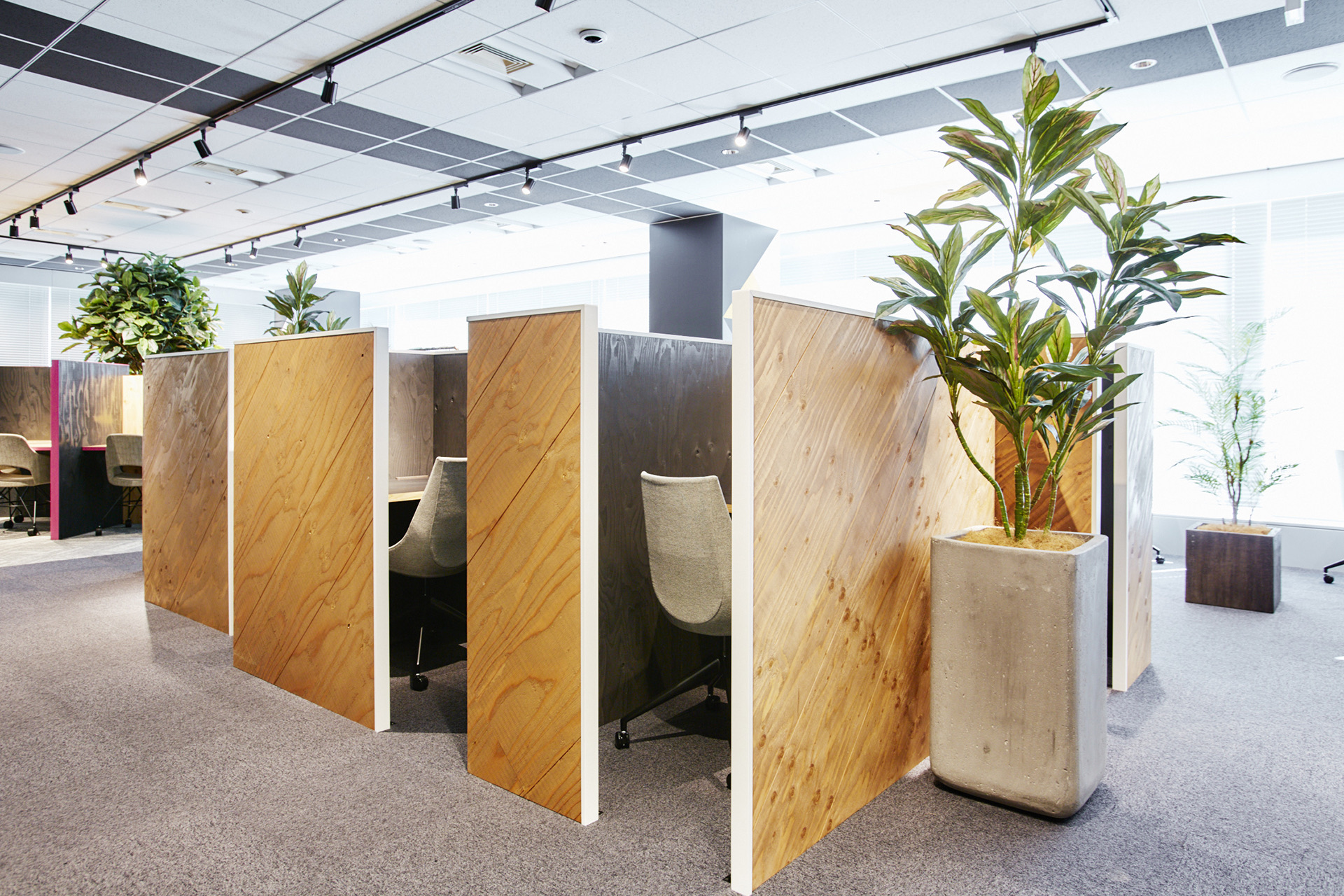 オープンスペース