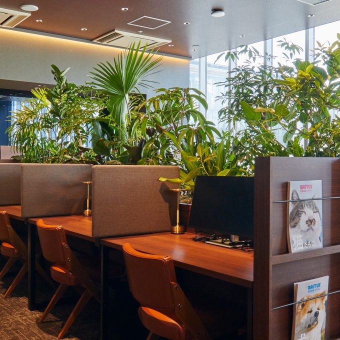 オープンスペース