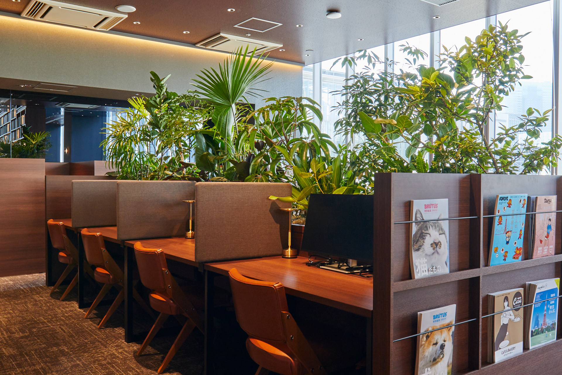 オープンスペース