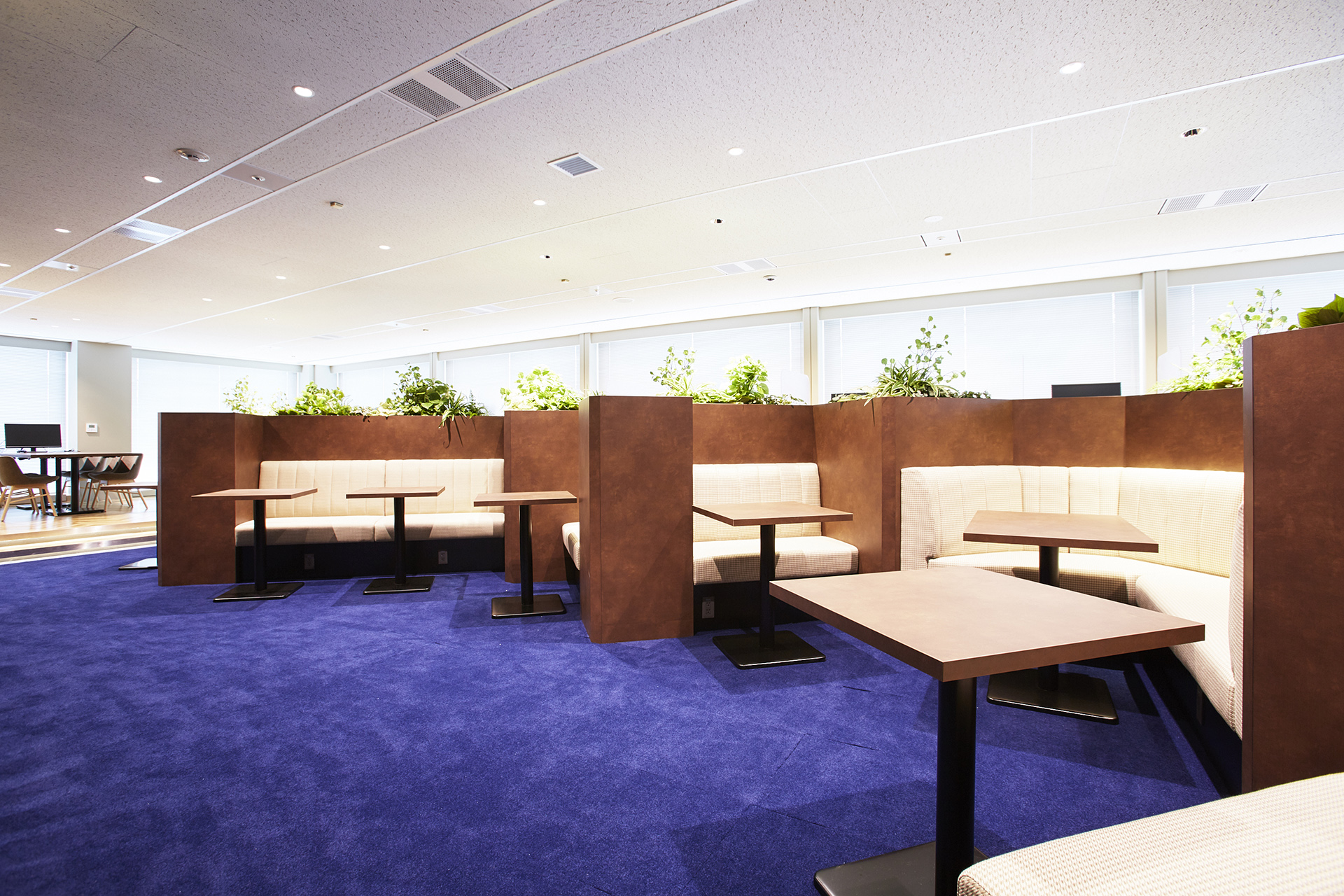 オープンスペース