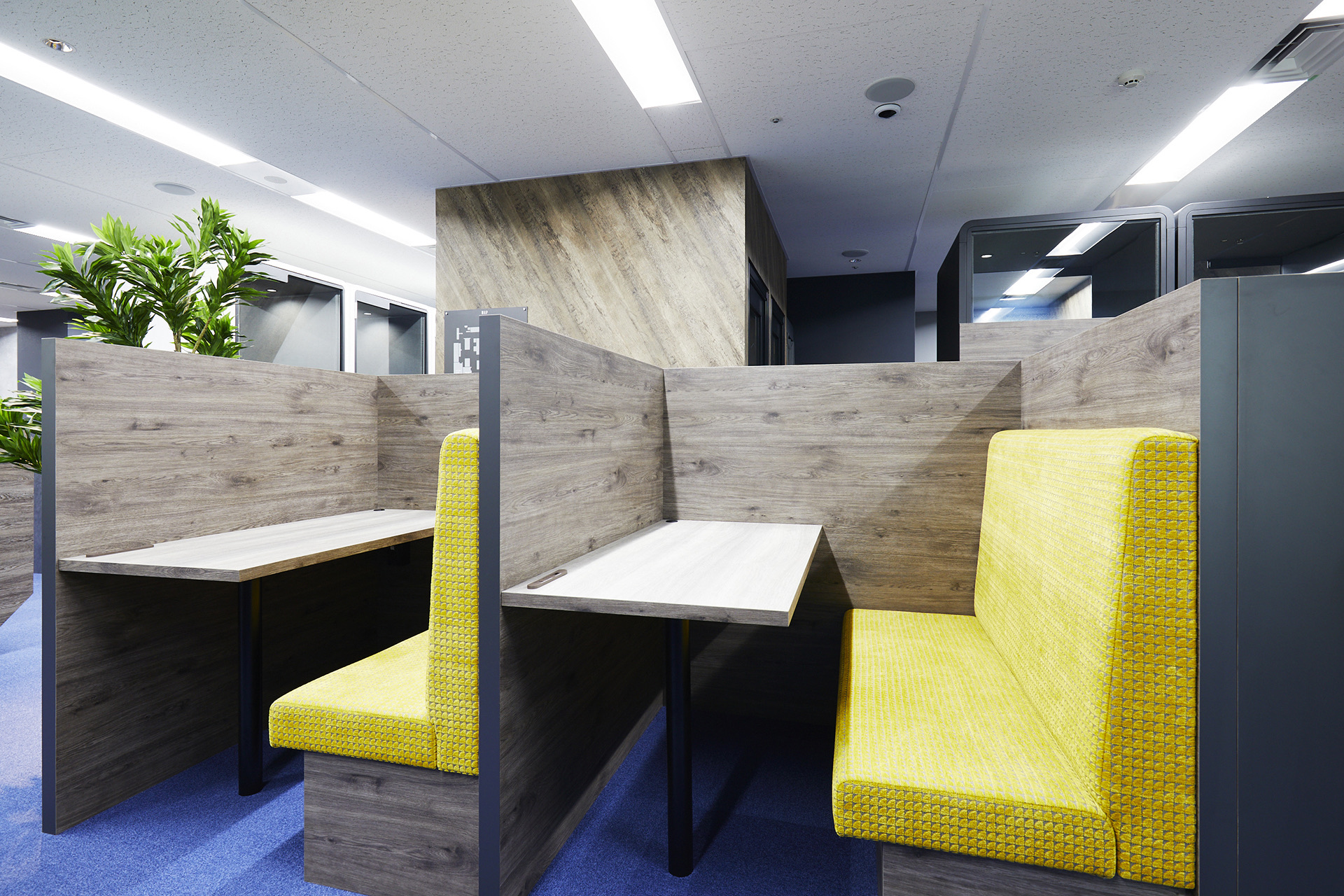 オープンスペース