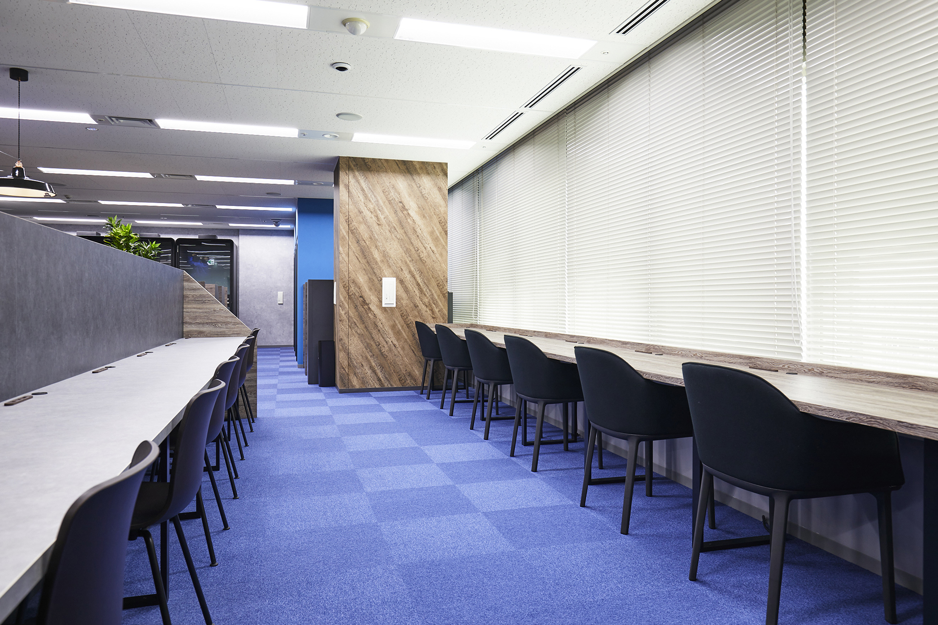 オープンスペース