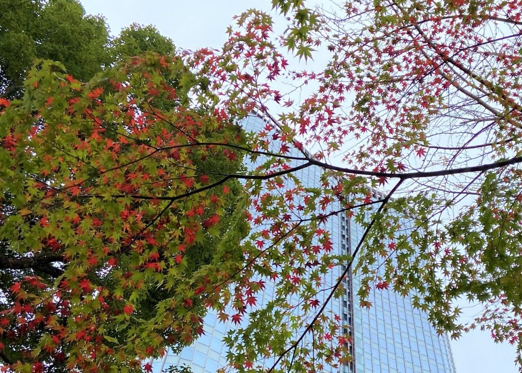 日比谷公園の紅葉