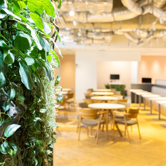 オープンスペース