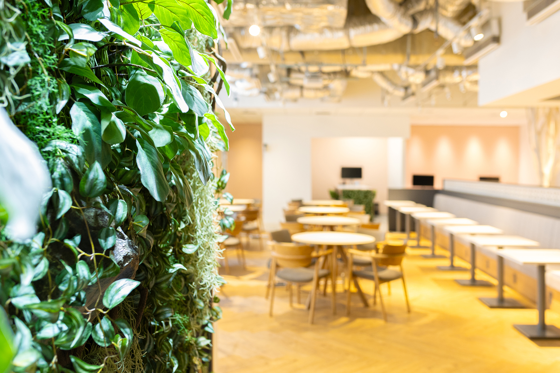 オープンスペース